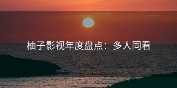 柚子影视年度盘点：多人同看