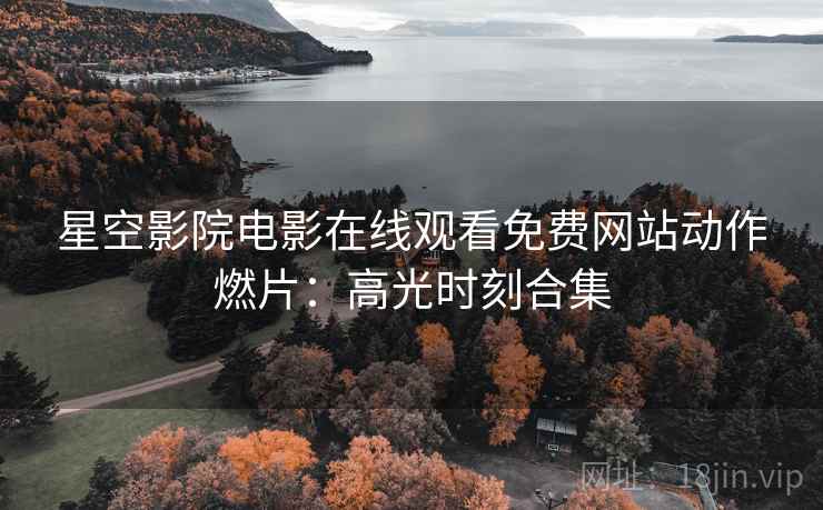 星空影院电影在线观看免费网站动作燃片：高光时刻合集