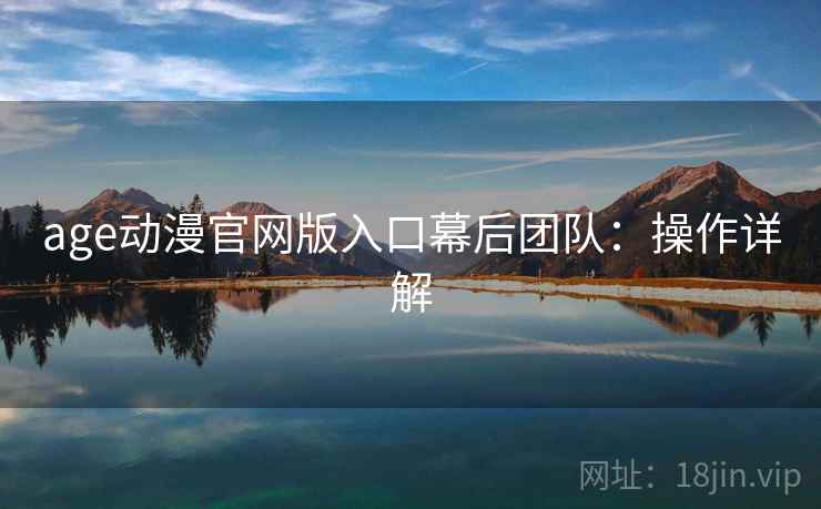 age动漫官网版入口幕后团队：操作详解