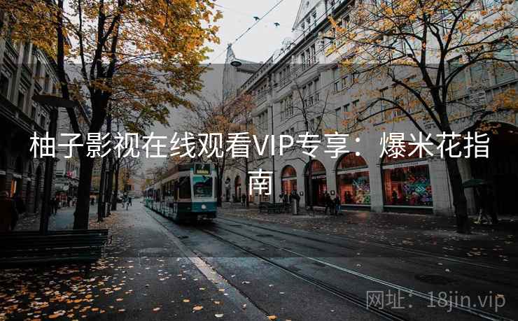 柚子影视在线观看VIP专享：爆米花指南